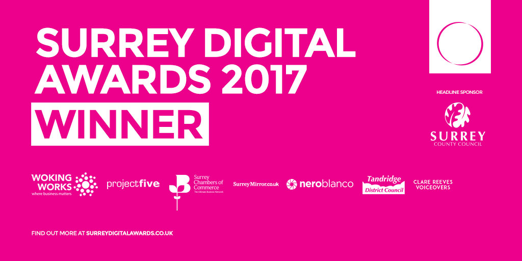 Surrey Digital Awards Winner - Enjoy the Adventure - Work Together