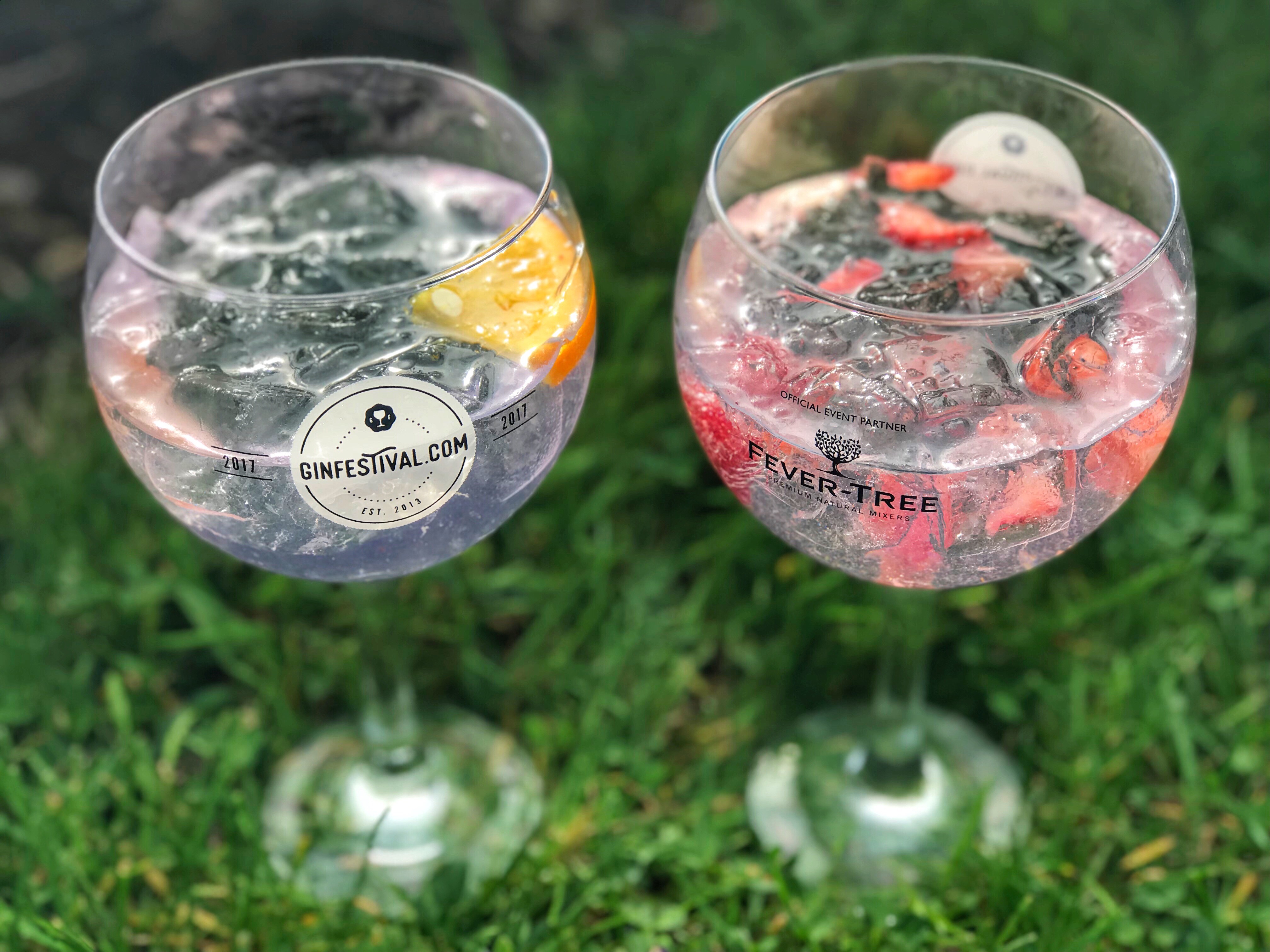 Gin Festival Review - Enjoy the Adventure