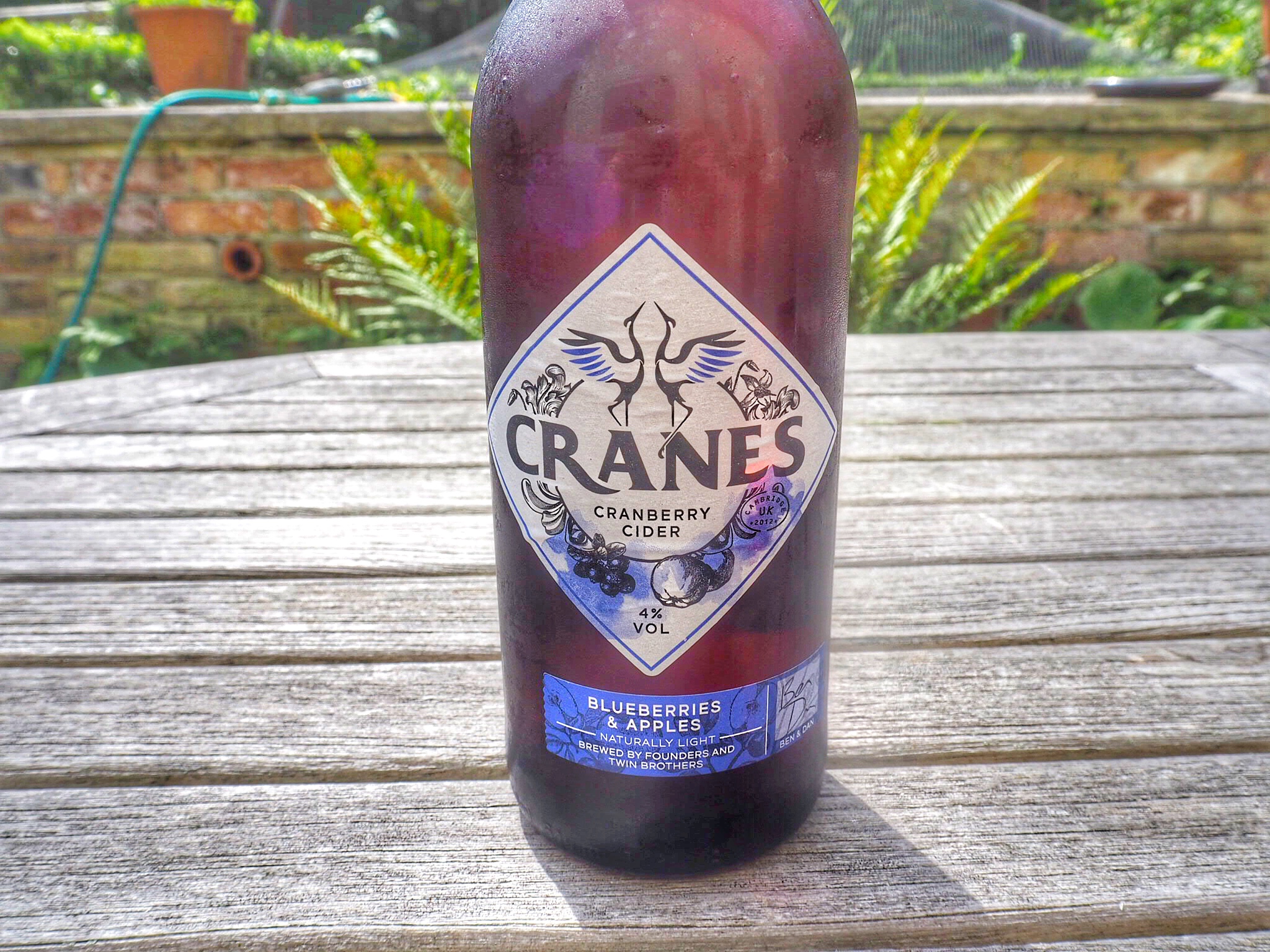 Blueberries & Apple Cranes Cider