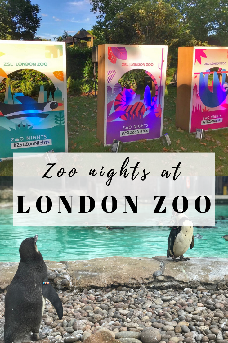 Zoo Nights this Summer at London Zoo – Enjoy the Adventure