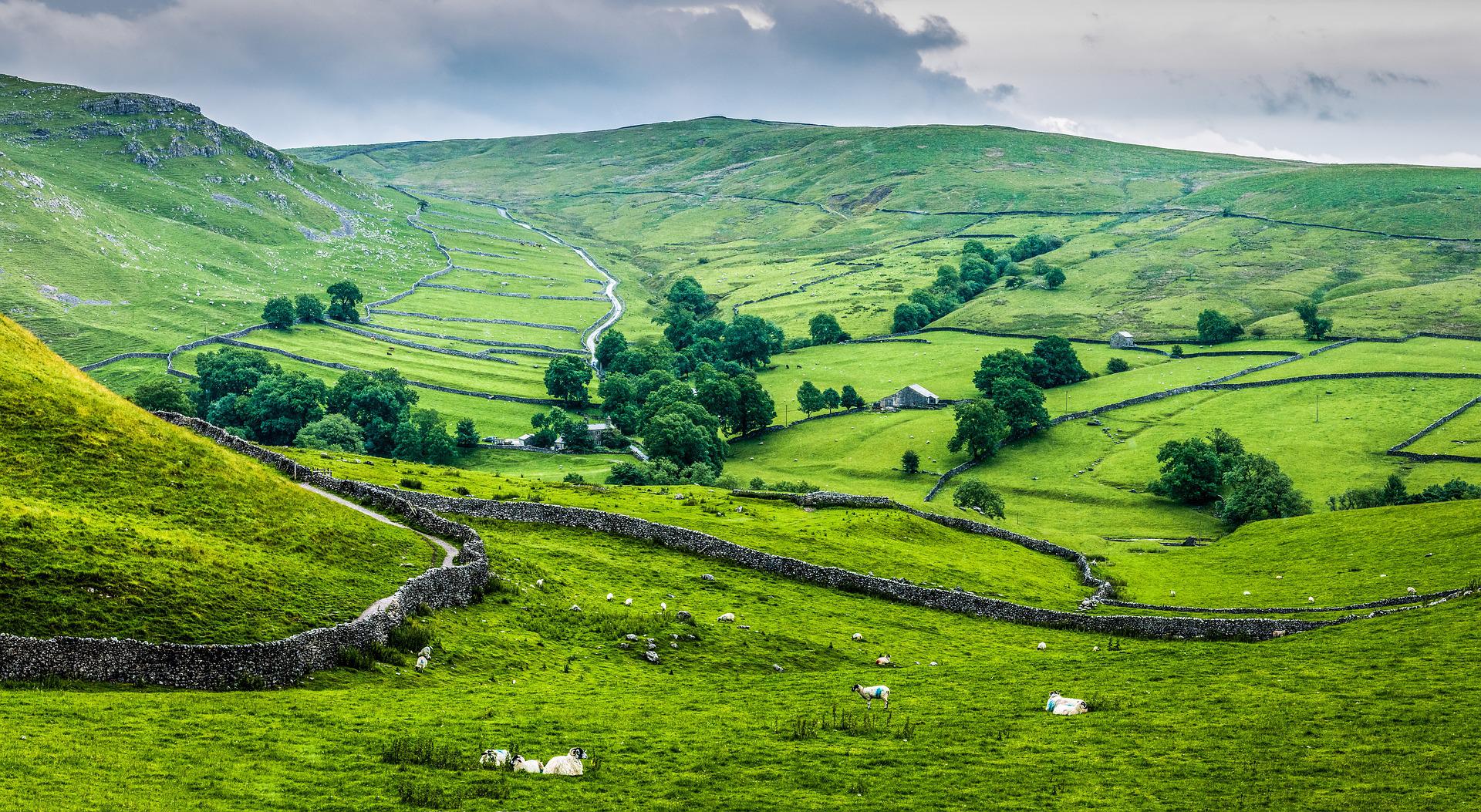 Yorkshire dales countryside
